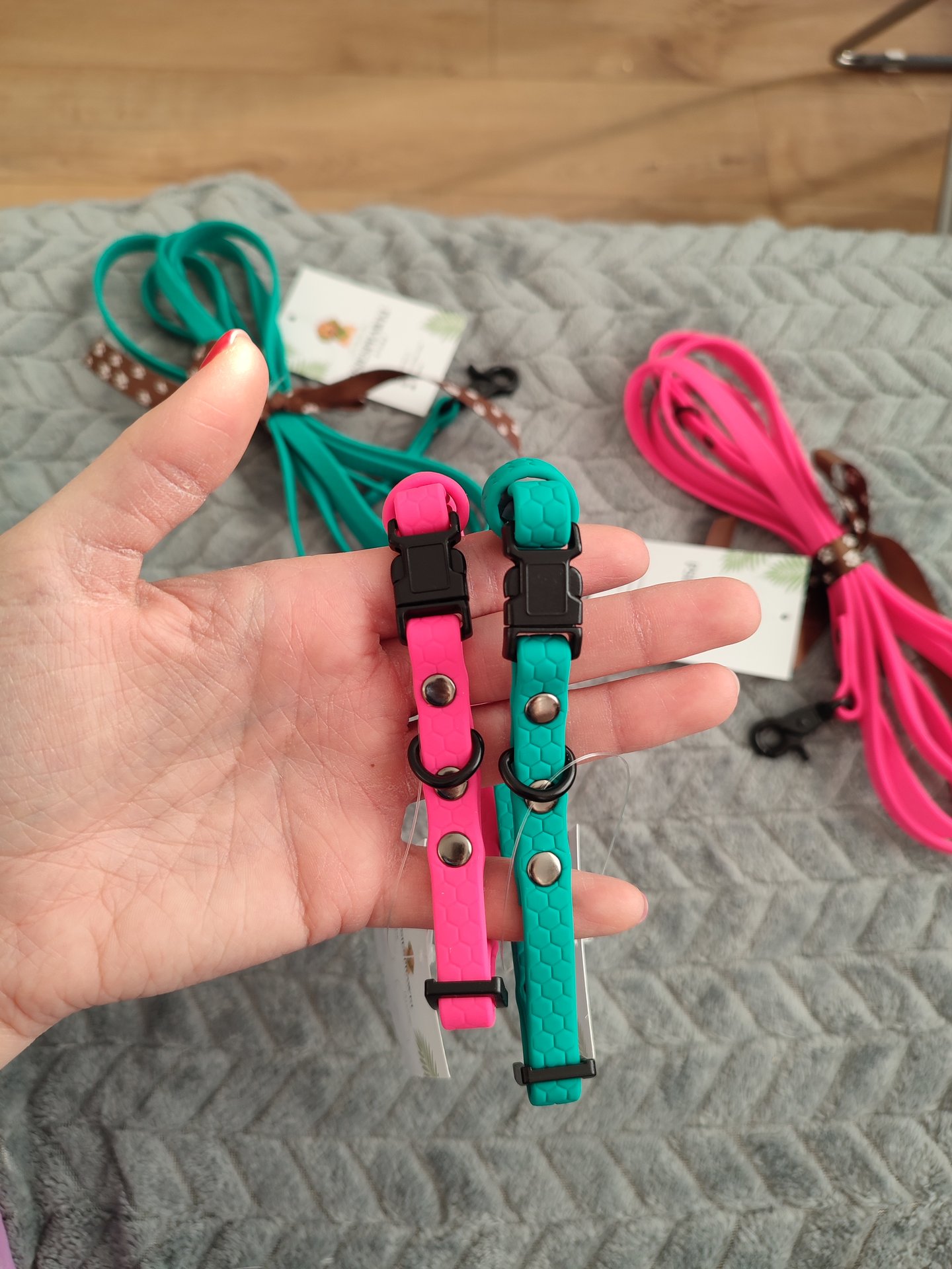 Obroża i smycz jako ważny element wyprawki